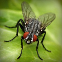 /album/tionozopas/photolia-a01-jpg/