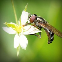 /album/tionozopas/photolia-a02-jpg/