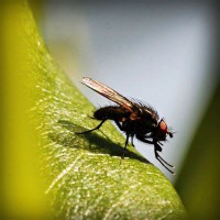 /album/tionozopas/photolia-a04-jpg/