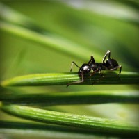 /album/tionozopas/photolia-a05-jpg/