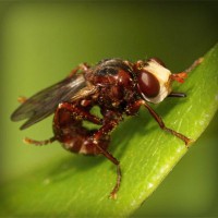 /album/tionozopas/photolia-a06-jpg/