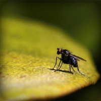 /album/tionozopas/photolia-a07-jpg/