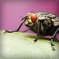 /album/tionozopas/photolia-a08-jpg/